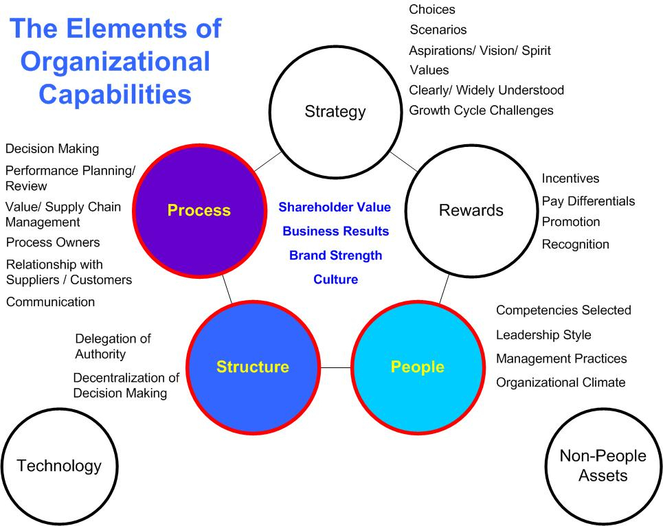 The Elements of Organizational Capabilities